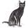 ROYAL CANIN Sterilised 37 | 400 g | Dry feed for sterilized cats (1 to 7 years) | To maintain an ideal body weight | With high protein content - Image 5