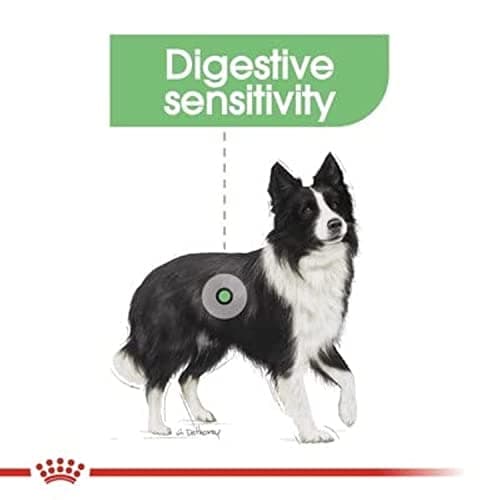 Royal Canin - Medium Digestive Care Dry Food - Bag of 12 kg - Image 7