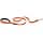 Ferplast Daytona Nylon Dog Lead for Small Dogs, 120 cm with Comfortable Padded Handle and Metal Carabiner, Orange - Image 2