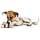 PetSafe - Busy Buddy Bristle Bone (M), Dental Toy with Treat - Dog Toothbrush - Image 3