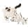 Royal Canin /Babycat 2 kg bag dry food for kittens from 1 to 4 months - Image 4