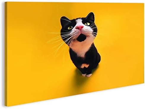 islandburner Felix The Cat 1K Tableau sur toile Motif chat XXL Décoration murale pour salon - Image 1