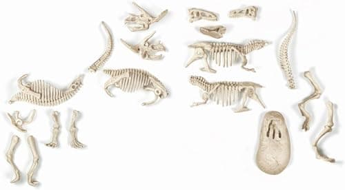 Clementoni | T-Rex & Triceratops Paleontology Set for Children 7+ | Science & Play: Archéo Ludic | Glowing Skeletons to Assemble | Augmented Reality App Included | Idea - Image 5