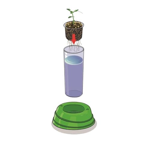 Clementoni | Science & Play – Botany and Hydroponics for Children 8+ | Soillless Gardening Kit with Transparent Pot, Seeds and Tools | Educational Botanical Experience | STEM Nature Activity - Image 7