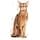 Royal Canin Protein Exigent | 400 g | Complete food for particularly difficult cats from 12 months | Contains specially adapted energy intake - Image 6