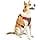 Kurgo K01940 Dog Harness for Small/Medium/Large Reflective for Footing Walking/Hiking Journey Air Style - Image 3
