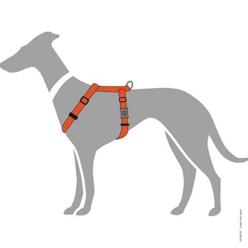 Hunter London Vario Rapid Harness - Orange - Size 41-70/S - Adjustable in 4 Positions - with Safety Closure - Soft and Flexible - Tear-resistant and Quick Drying - Lightweight and Easy to Clean - Image 6