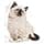 Royal Canin Kitten 4 kg - Image 6