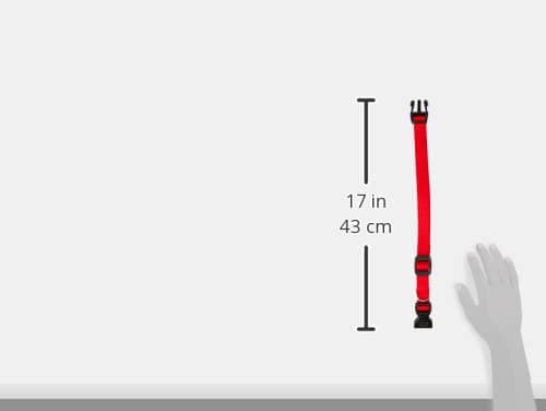 Ferplast Nylon Collar for Dogs Club C20/56 36÷56 cm 20 mm Red - Image 8