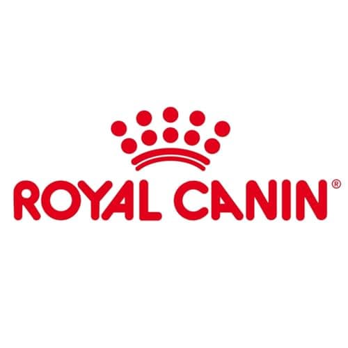 Royal Canin Mother & Babydog Starter Mousse | 12 x 195 g | Ultra Soft Foam Wet Food | for Dogs at the Last Third of Gestation and During the Breastfeeding Period - Image 3