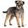 Royal Canin Royal Canin Flow Mini Sterilised Dog Bag 1kg - 1000 g - Image 5
