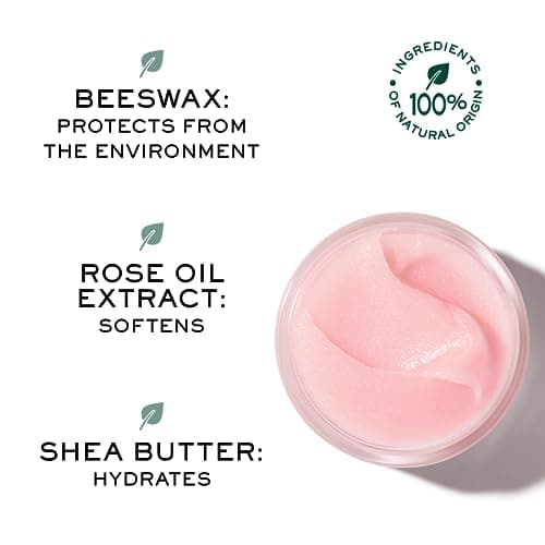Nuxe very rose baume lèvres à la rose 15g - Image 6