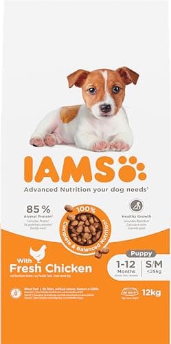 IAMS Dry Food for Small and Medium Puppies with Fresh Chicken, 12 kg - Image 2