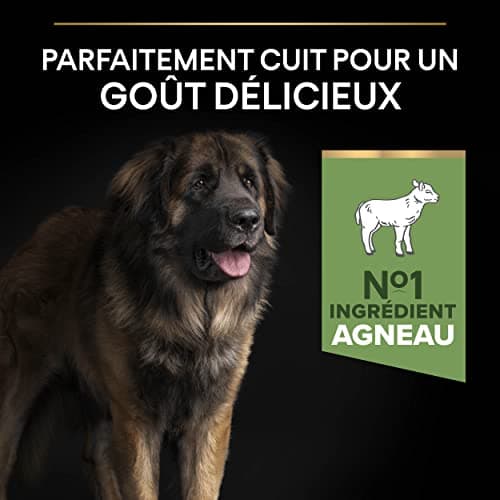 PURINA PRO PLAN | Sensitive Digestion | Complete Dry Food for Large Puppies & Strong Body | Promotes a Healthy Digestive System | Rich in Lamb | Dry Food | 14 kg Bag - Image 6