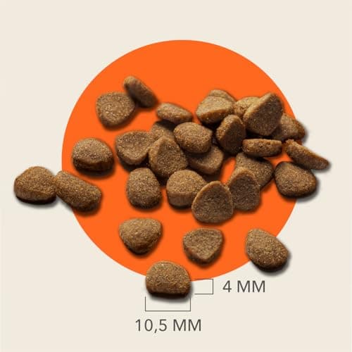 IAMS Advanced Nutrition for Senior Cats 7 Years + 100% Complete & Balanced Tuna Food - Strengthens Joints & Heart - Non-GMO Artificial Flavour Colouring - Resealable Bag 3 kg - Image 7