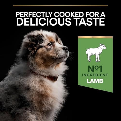 PURINA PRO PLAN | Sensitive Digestion | Complete Dry Food for Medium Puppies | Promotes a Healthy Digestive System | Rich in Lamb | Dry Food | 12 kg Bag - Image 8
