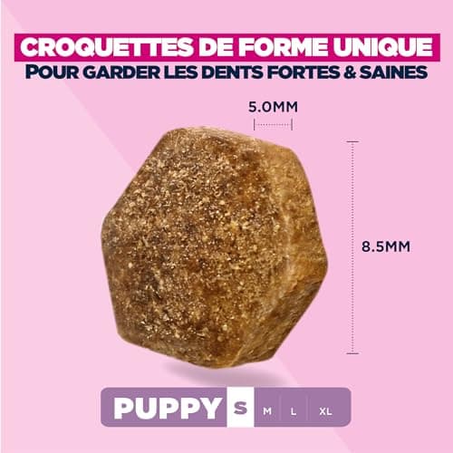 EUKANUBA Life Care Small Breed Puppy Food 1 to 12 Months, Rich in Fresh Chicken, Optimal Growth - DHA, Calcium, Omega 3&6, FOS Prebiotics, No Dyes, Artificial Flavours or GMOs - 3kg - Image 6