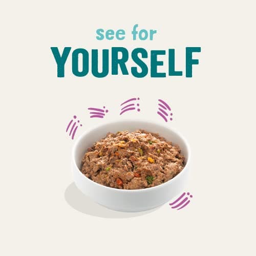 Edgard & Cooper Adult Food Box for Dogs Cereal-Free Food, Healthy Eating, Tasty and Balanced Food, Quality Proteins (Game/Duck, 150g x 11) - Image 5