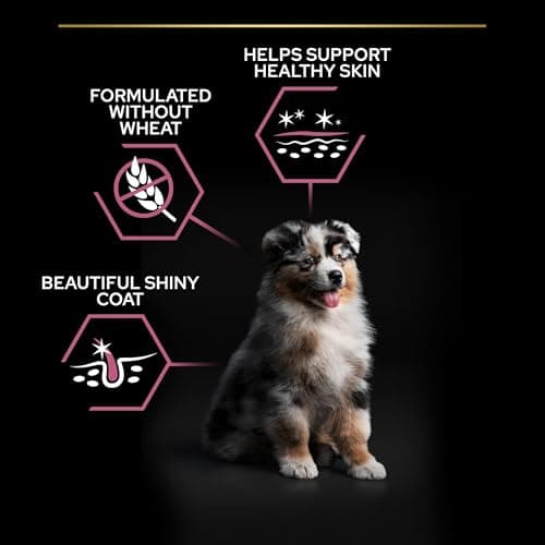 PURINA PRO PLAN | Sensitive Skin | Complete Dry Food for Medium Puppies | Promotes Healthy Skin and Shiny Coat | Salmon | Dry Food | Bag | 3 kg - Image 7