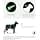 FRONTLINE Combo Dog - Anti-Flea, Tick, Lice Crusher - Protects the Home - Removes Fleas for 8 Weeks/Ticks for 4 Weeks - For Small Dogs 2 to 10 kg - 6 Spot-On Pipettes - Image 3
