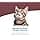 VL Cat HEPATIC b/85 GR Food FARMINA - Image 6