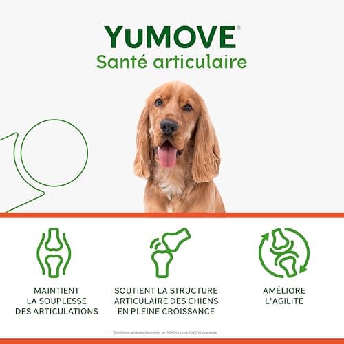 YuMOVE Osteoarthritis for Dogs - Joint Supplement for Young Dogs - 60 Tablets - Joint Support for Active Dogs Containing Green Mussels, Glucosamine, Chondroitin for Agility - Image 6