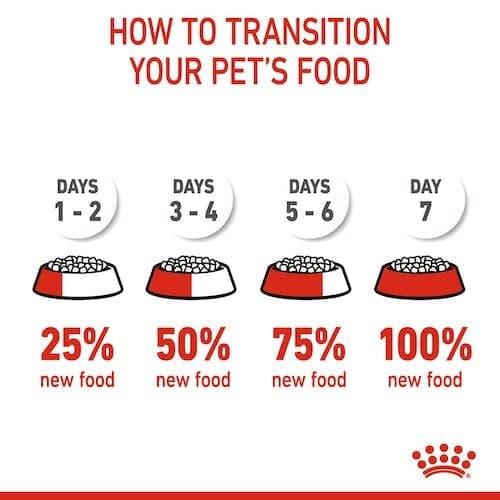 Royal Canin X-SMALL Puppy | 500 g | Kibble for Very Small Breeds | May Contribute to Normal Immune System Function | With Omega-3 - Image 6