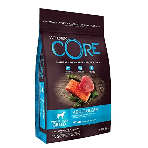 Wellness CORE Océan 10 kg, Saumon/Thon – Croquettes pour Chiens Moyens/Grands, sans Céréales, Naturelles, Hypoallergénique, Riche en protéines, À Haute Teneur en Poisson, Peau Saine & Pelage Brillant - Image 3