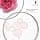 Schwarzkopf Professional Oil Ultime Pink Finishing Oil For Fine And Stressed Hair Purified And Natural Smooths Cuticle Anti Frizz Thermal Protection Nourishing Moisturizing 100ml - Image 6