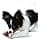 PetSafe - Busy Buddy Bristle Bone (M), Dental Toy with Treat - Dog Toothbrush - Image 5