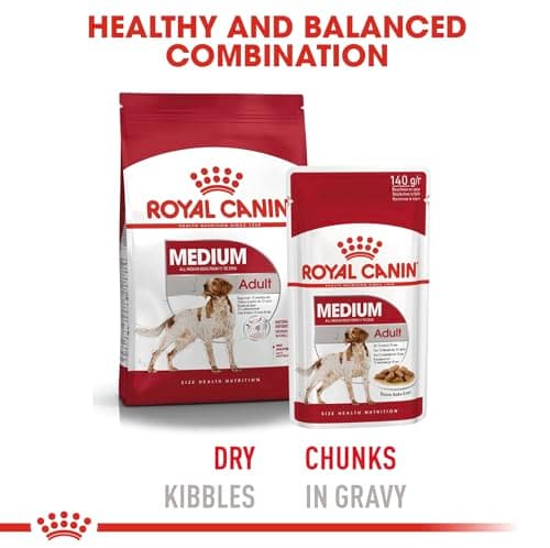 ROYAL CANIN® Croquettes pour chiens adultes de taille moyenne 4 kg - Image 5