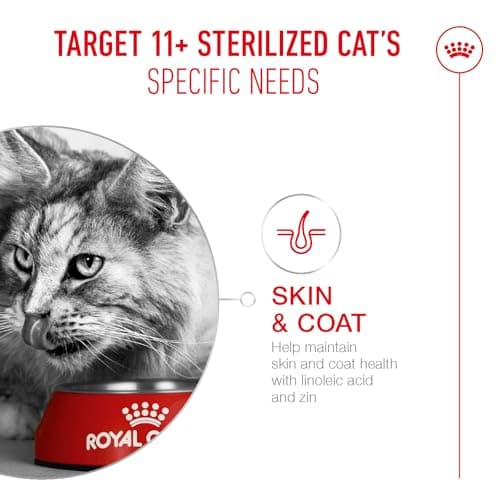 ROYAL CANIN AGEING 11+ | 2kg | Dry Food for Senior Cats Over 11 Years | Formula with HealthyAge7 Complex | Contains Easy Chewable Kibble - Image 4
