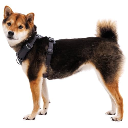 RUFFWEAR Front Range Adjustable Comfortable Padded Dog Harness with 2 Leash Attachments, Reinforced Attachment and Solid Metal V-Ring, Blaze Orange, S - Image 8