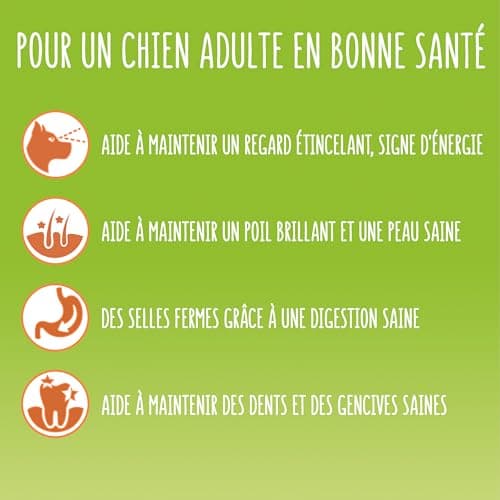 FRISKIES | Balance | Chien | Croquettes pour Chiens Adultes | au Poulet, au Boeuf et Légumes ajoutés | Source de protéines de Haute qualité | Sac | 12 KG - Image 6