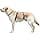Kerbl Pet Miami Panic Harness Grey, 48-70 cm, 20 mm - Image 5