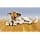 PetSafe - Busy Buddy Bristle Bone (M), Dental Toy with Treat - Dog Toothbrush - Image 6