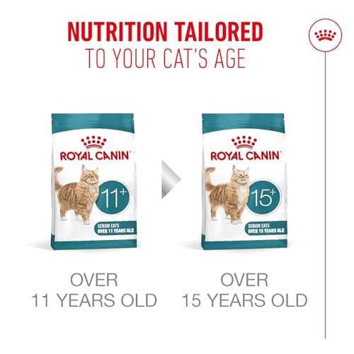 ROYAL CANIN AGEING 11+ | 2kg | Dry Food for Senior Cats Over 11 Years | Formula with HealthyAge7 Complex | Contains Easy Chewable Kibble - Image 6