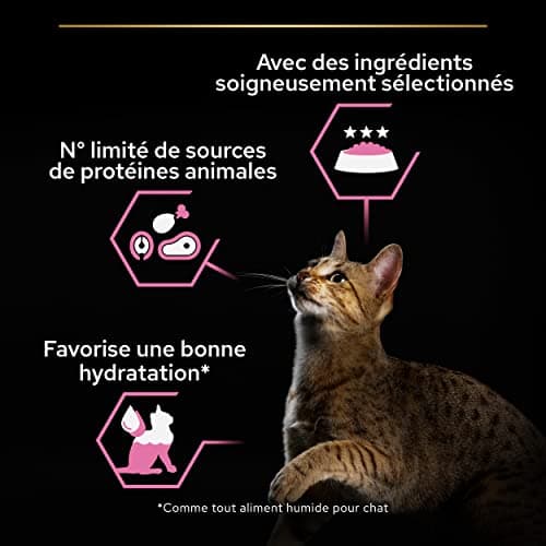 PURINA PRO PLAN | DELICATE DIGESTION | Complete Food for Adult Cats | Helps Promote a Healthy Digestive System | Sliced in Sauce | Turkey | Individual Serving | 10 x 85g - Image 7