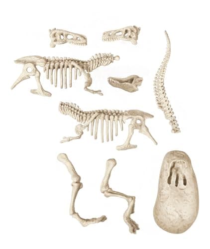 Clementoni | Archéo Ludic – Velociraptor 7+ | Dinosaur Educational Toy with Scientific Digging Kit | Luminous Skeleton to Rebuild | Child Paleontology Christmas Birthday Gift - Image 6