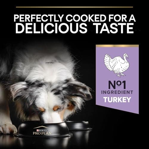 PURINA PRO PLAN | Sensitive Digestion | Whole Grain Free Dry Food for Adult Large and Medium Dogs with Sensitive Digestion | Promotes a Healthy Digestion | Turkey | Bag | 12 kg - Image 6