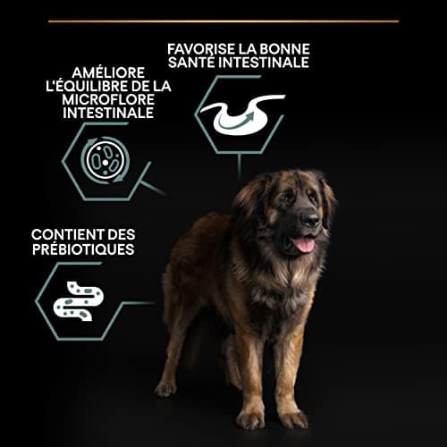 PURINA PRO PLAN | Sensitive Digestion | Complete Dry Food for Large Puppies & Strong Body | Promotes a Healthy Digestive System | Rich in Lamb | Dry Food | 14 kg Bag - Image 5