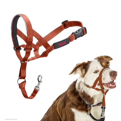 Halti Halter – To Stop Pulling On His Leash, Fully Padded On The Snout, Anti-Pull Collars for Medium Dogs (Size 2, Burnt Orange) - Image 3