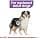 Royal Canin - Sterilised Adult Medium Dry Food - Bag of 12 kg - Image 4