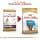 ROYAL CANIN COCKER JUNIOR 3 kg Bag for Cocker Puppies from 2 to 12 Months - Image 3