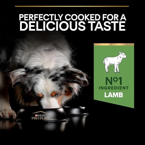 PURINA PRO PLAN | Sensitive Digestion | Complete Dry Food for Medium Adult Dogs | Promotes a Healthy Digestive System | Rich in Lamb | Dry Food | 14 kg Bag - Image 8