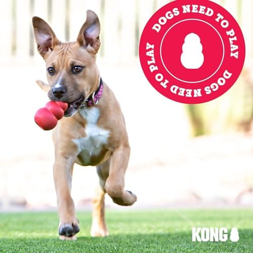 KONG - SafeStix - Sturdy and Flexible Fetch Toy with Safe, Durable Material - For Small Dogs - Image 8