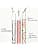 KÉRASTASE Gloss Absolu - Anti-Frizz Glaze Milk - Spray Disciplinant tout-en-1 - Acide Hyaluronique, Acide Glycolique et Rose Sauvage - Cheveux Longs et Sujets aux Frisottis - Image 8