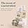 The Body Shop White Musk Eau de Toilette (Packaging May Vary) by The Body Shop - Image 4