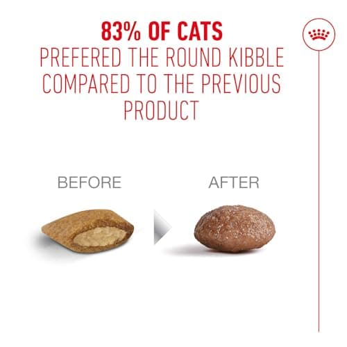ROYAL CANIN AGEING 15+ | 2kg | Dry Food for Senior Cats from 15 Years | Formula with HealthyAge7 Complex | Contains Easy Chewable Kibble - Image 7