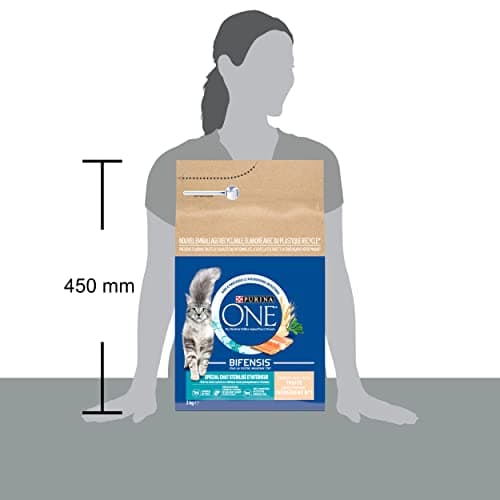 PURINA ONE | Benefits | Special Indoor Sterilized Cat | Dry Food | Helps control weight, maintain a healthy urinary system, removes stomach hair | Trout | Bag - Image 6